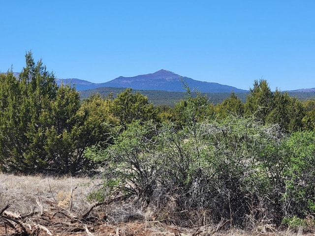 0 Camino Del Norte, Tajique NM, 87016 land for sale