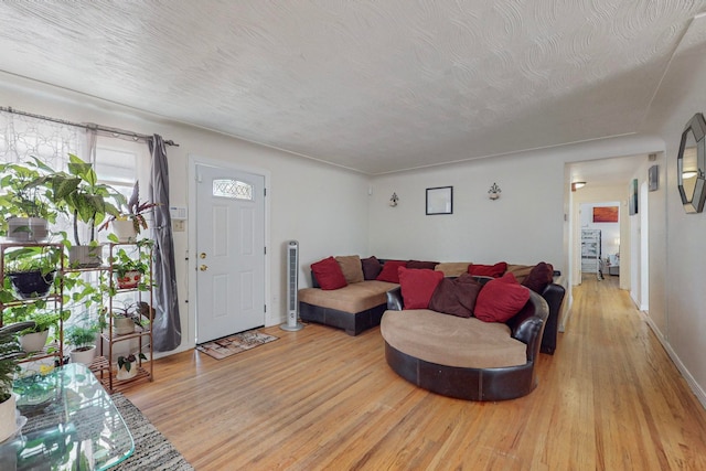 living room with a textured ceiling and light hardwood / wood-style flooring