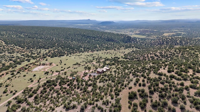 birds eye view of property featuring a mountain view