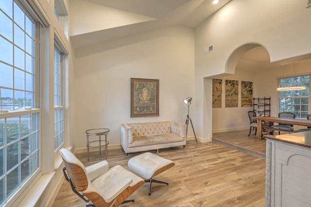 living area with light wood-type flooring, a wealth of natural light, and a towering ceiling