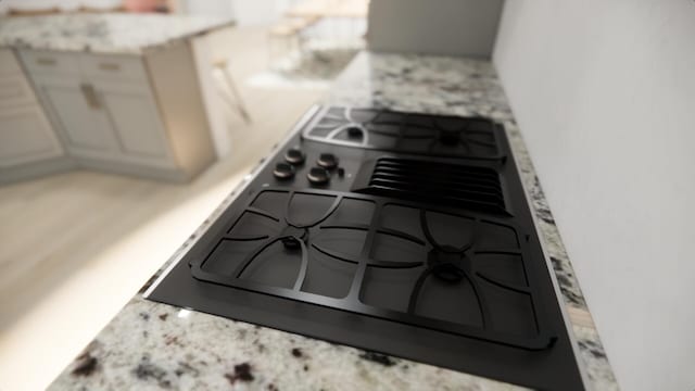 room details featuring black gas stovetop