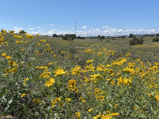 TBD Pioneer Rd, Edgewood NM, 87015 land for sale