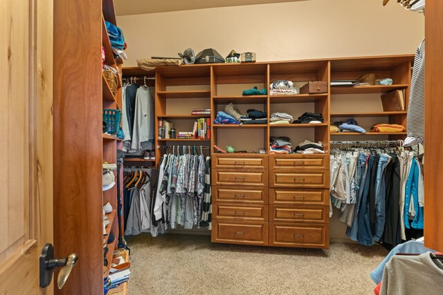 walk in closet with light colored carpet