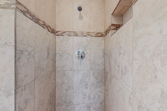 room details with a tile shower