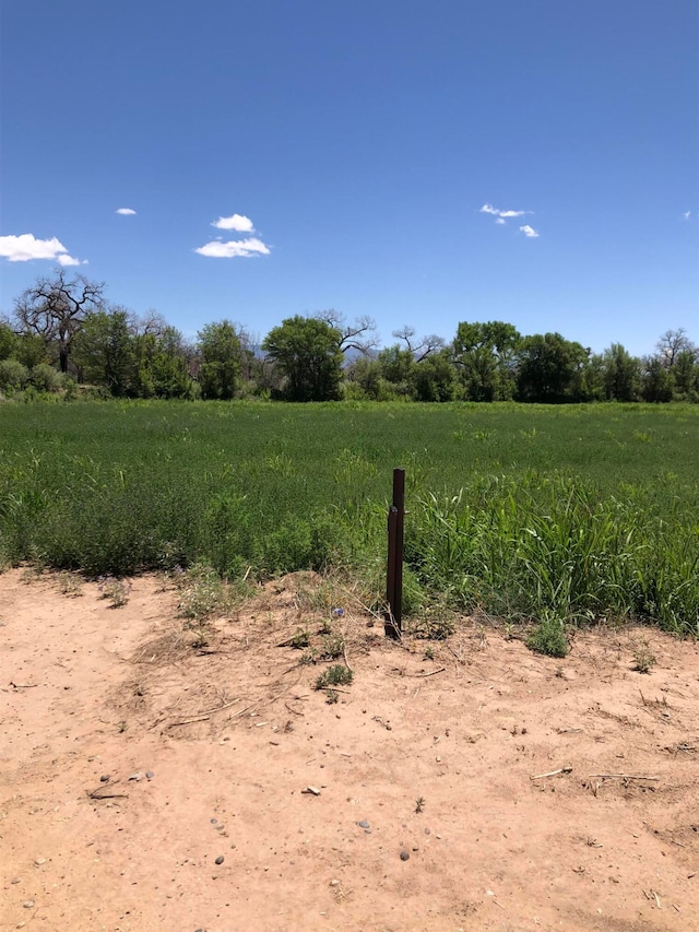 Listing photo 2 for Charlene Ln, Belen NM 87002