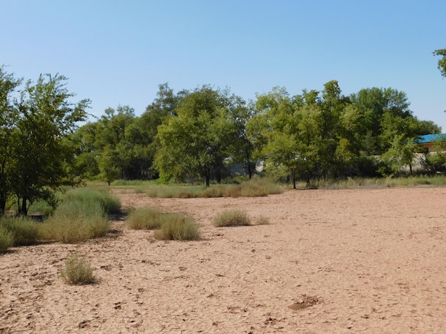 63 N El Cerro Loop, Los Lunas, NM 87031 - photo 4