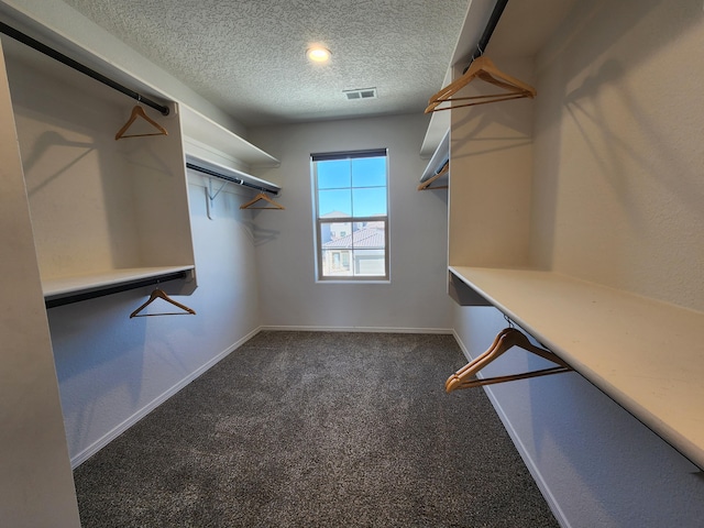 spacious closet featuring carpet and visible vents