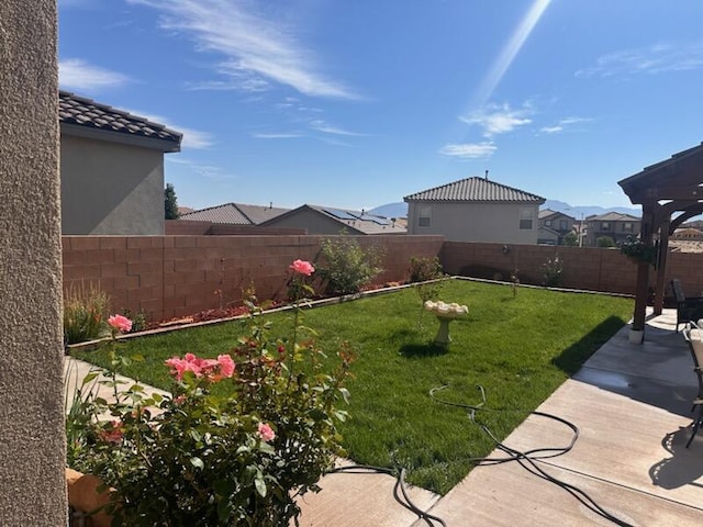 view of yard featuring a patio area and a fenced backyard