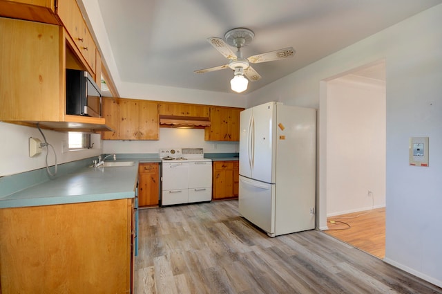 kitchen with white appliances, ceiling fan, light hardwood / wood-style flooring, and sink