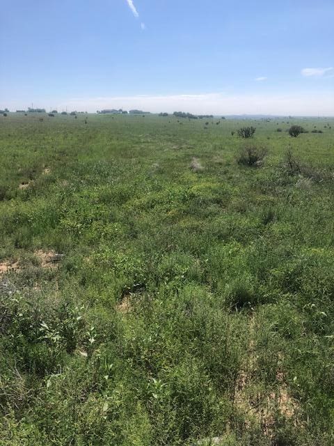 Listing photo 2 for Lexco Rd Unit D, Edgewood NM 87015