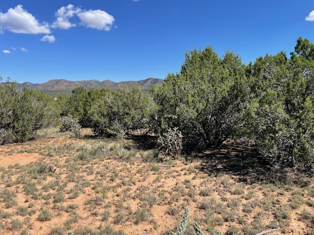 2 Tigua Dr, Sandia Park, NM 87047 - photo 10