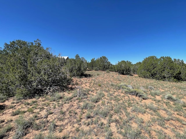 2 Tigua Dr, Sandia Park, NM 87047 - photo 8