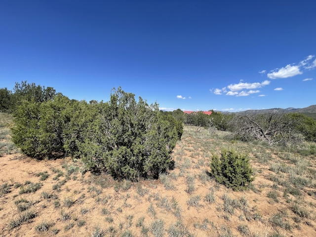 2 Tigua Dr, Sandia Park, NM 87047 - photo 7