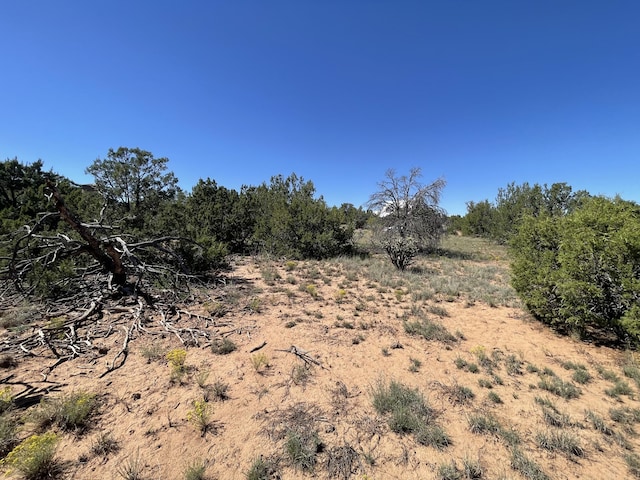2 Tigua Dr, Sandia Park, NM 87047 - photo 6