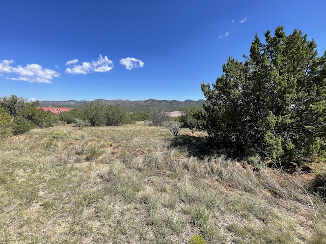 2 Tigua Dr, Sandia Park, NM 87047 - photo 4