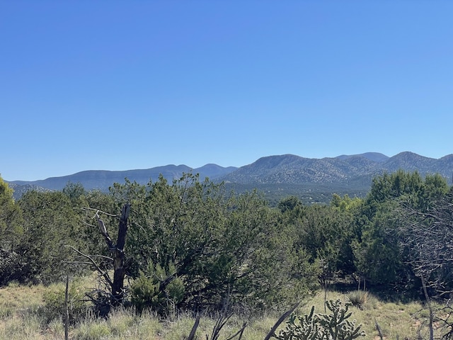 2 Tigua Dr, Sandia Park, NM 87047 - photo 3
