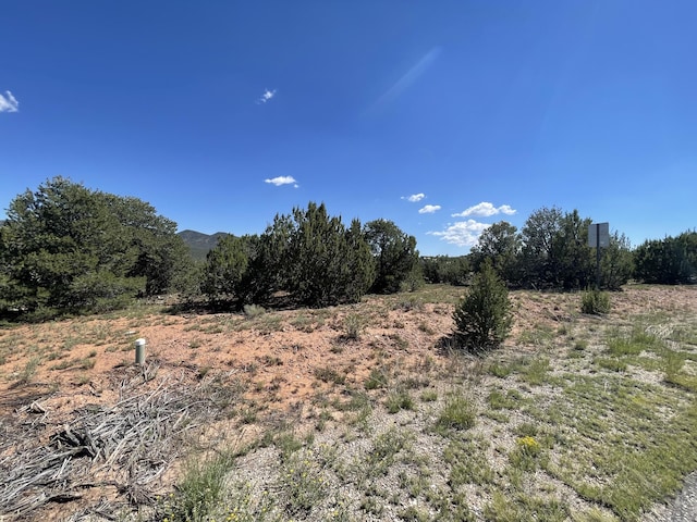2 Tigua Dr, Sandia Park, NM 87047 - photo 2