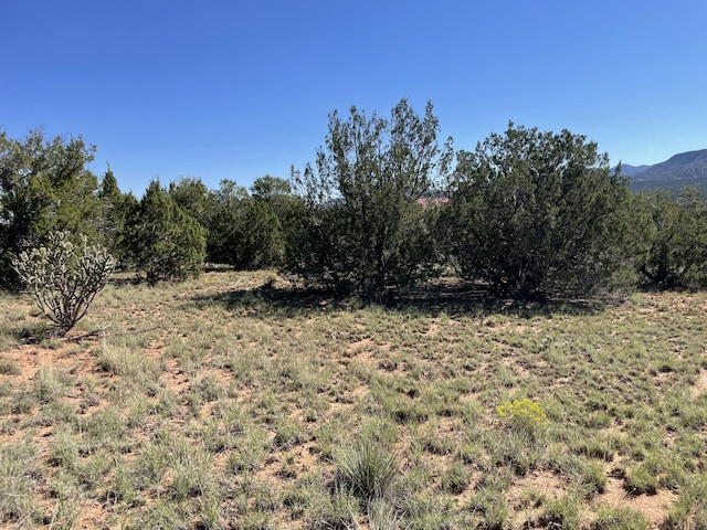 2 Tigua Dr, Sandia Park, NM 87047 - photo 23