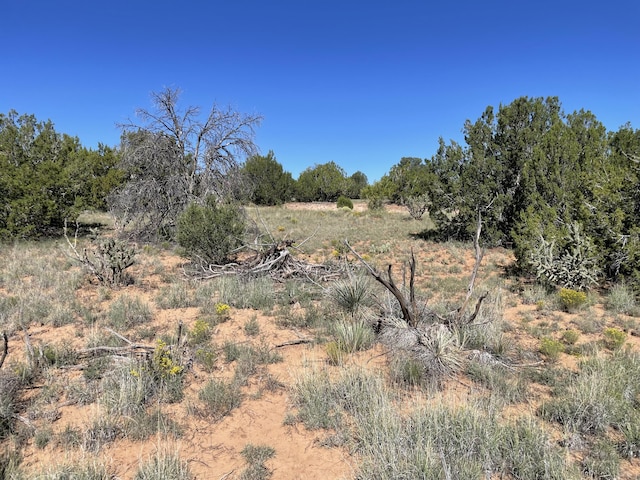 2 Tigua Dr, Sandia Park, NM 87047 - photo 21