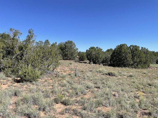 2 Tigua Dr, Sandia Park, NM 87047 - photo 20