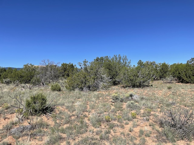 2 Tigua Dr, Sandia Park, NM 87047 - photo 19