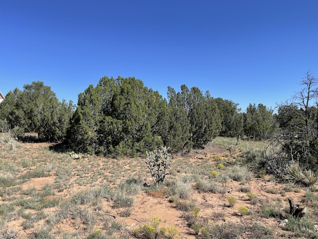 2 Tigua Dr, Sandia Park, NM 87047 - photo 18