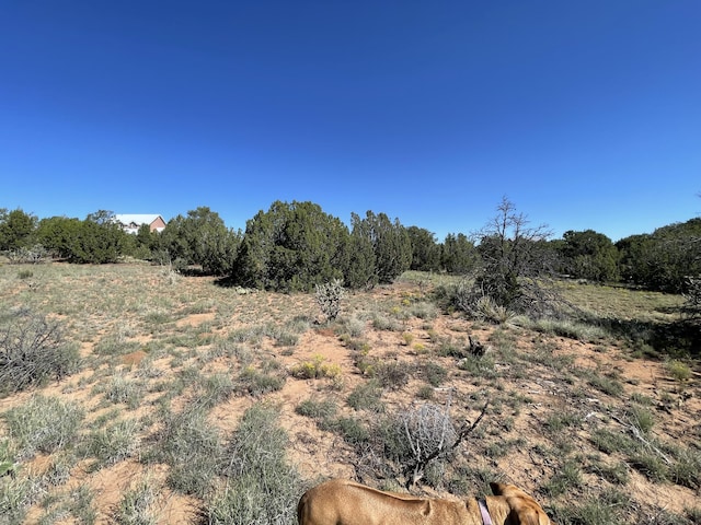 2 Tigua Dr, Sandia Park, NM 87047 - photo 17