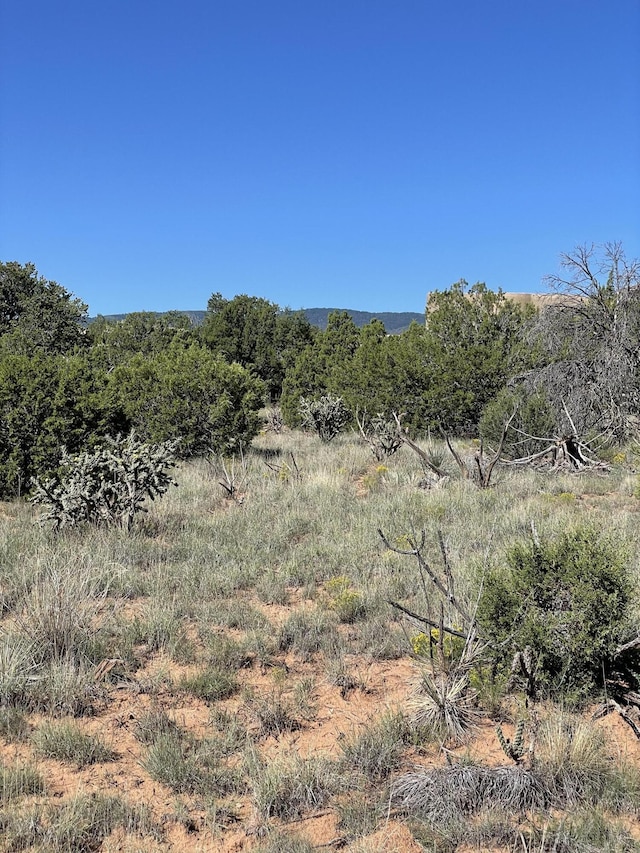 2 Tigua Dr, Sandia Park, NM 87047 - photo 16