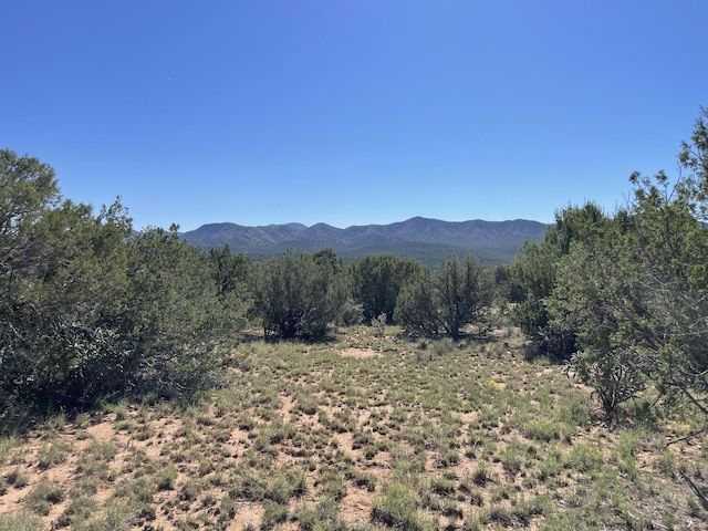 2 Tigua Dr, Sandia Park, NM 87047 - photo 15