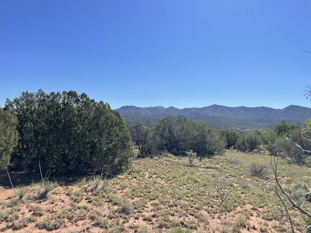 2 Tigua Dr, Sandia Park, NM 87047 - photo 14