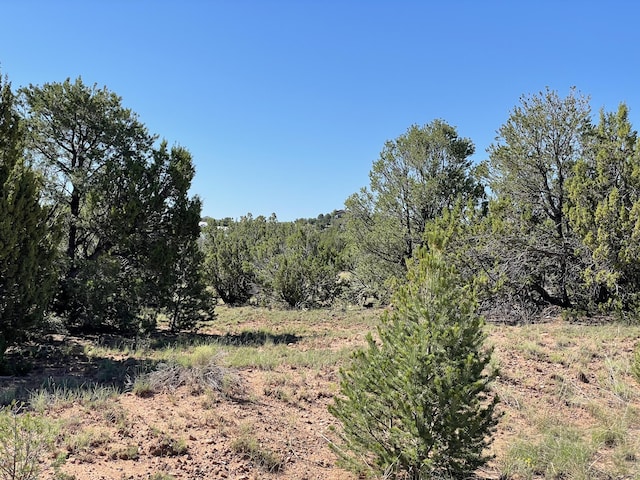 2 Tigua Dr, Sandia Park, NM 87047 - photo 13