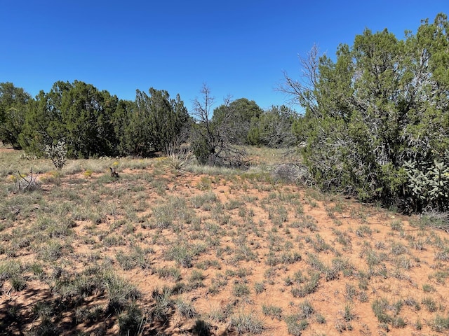 2 Tigua Dr, Sandia Park, NM 87047 - photo 12