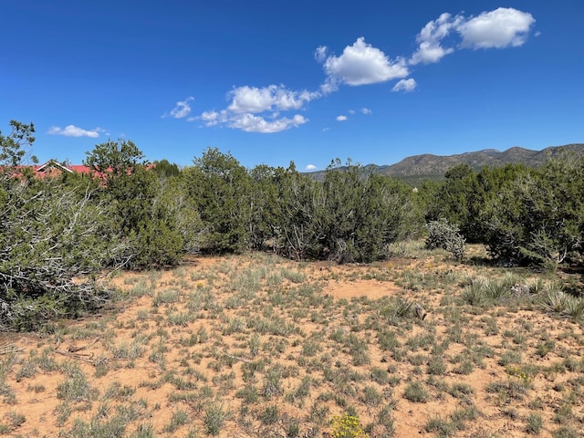 2 Tigua Dr, Sandia Park, NM 87047 - photo 11