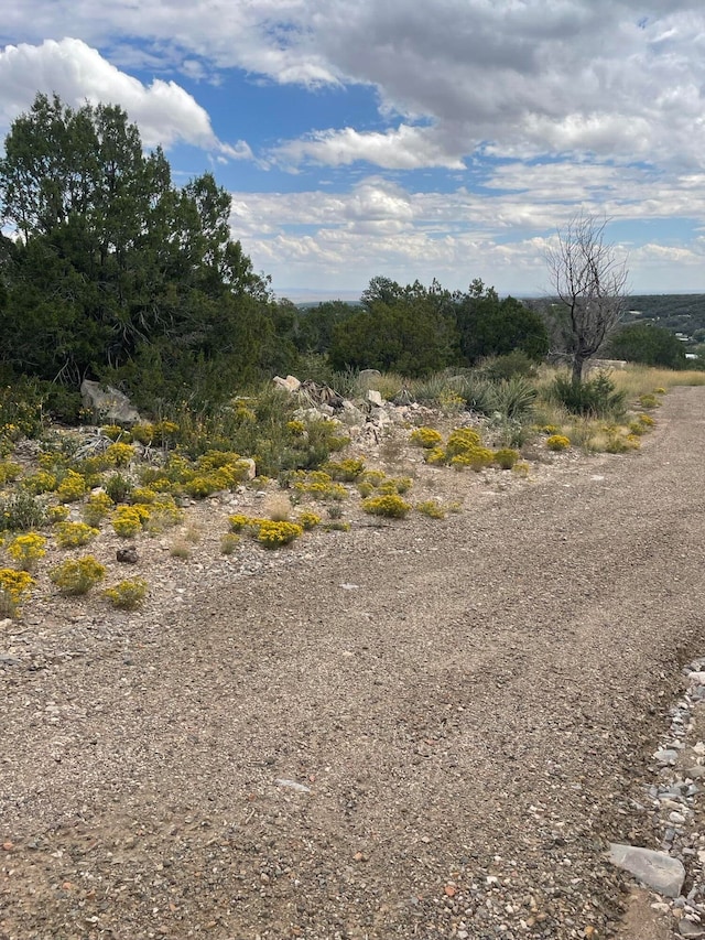 45 Morper Ln, Edgewood NM, 87015 land for sale