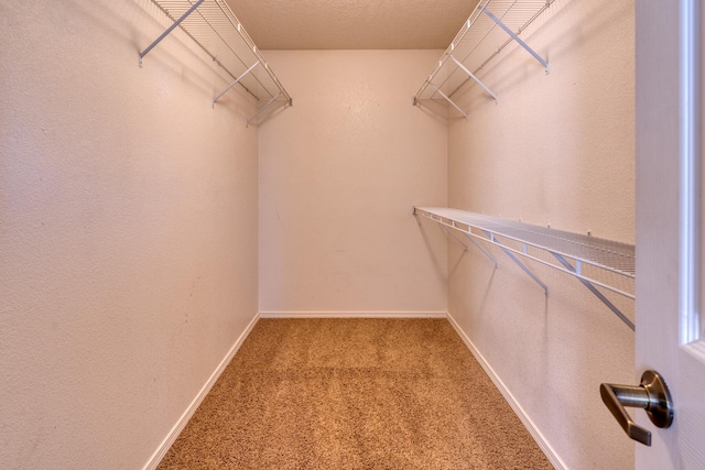 walk in closet with carpet floors