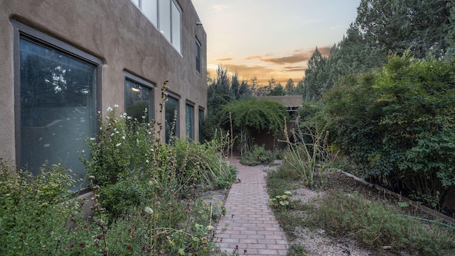 view of yard at dusk