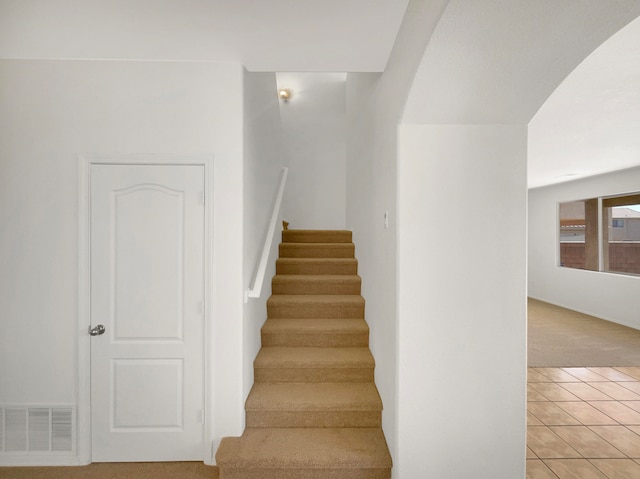 stairway featuring carpet floors