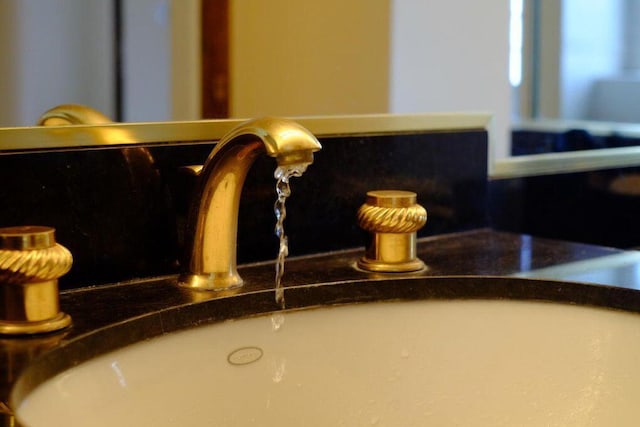 interior details featuring sink