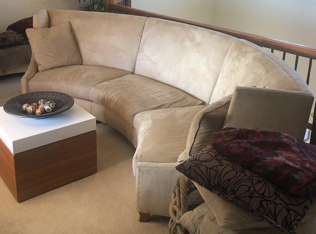 living room featuring light colored carpet