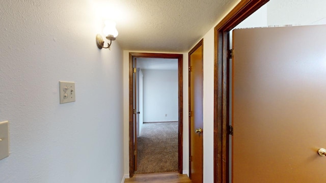 hallway with carpet floors and a textured ceiling