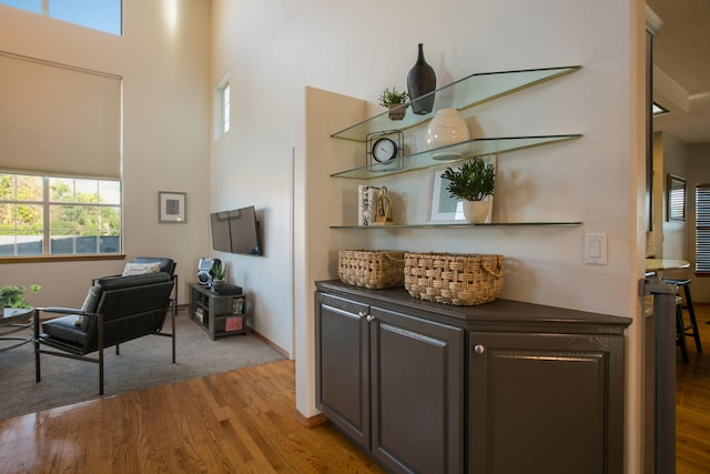 interior space featuring light hardwood / wood-style flooring and a towering ceiling