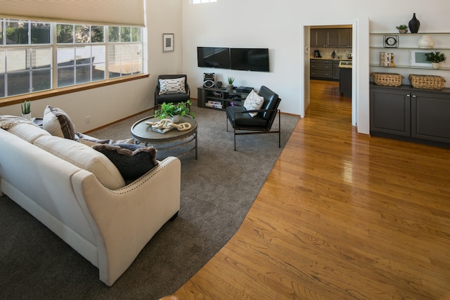 living room featuring dark hardwood / wood-style flooring