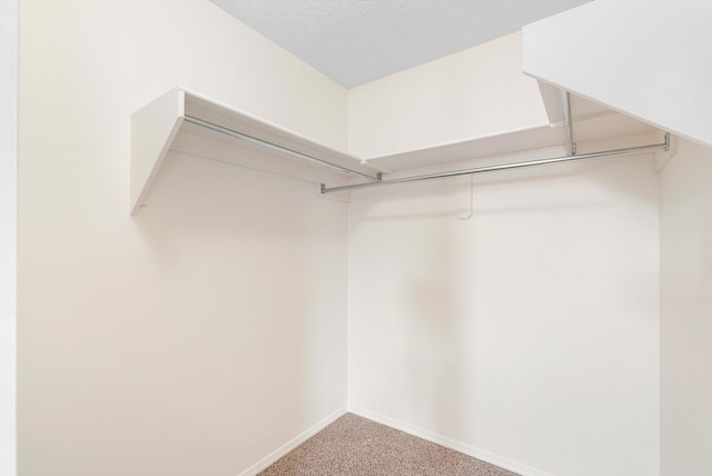 spacious closet with carpet floors