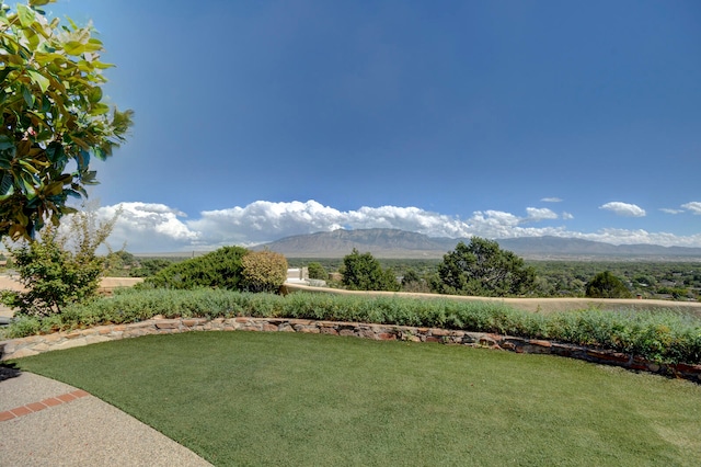 view of yard with a mountain view