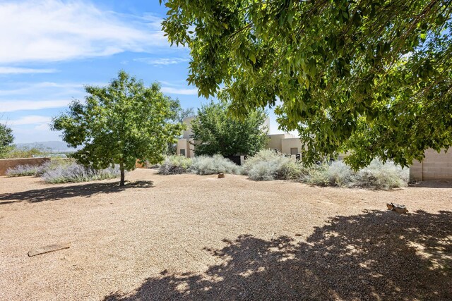 1220 Mesa Ridge Dr SW, Los Lunas, NM 87031 - view of yard