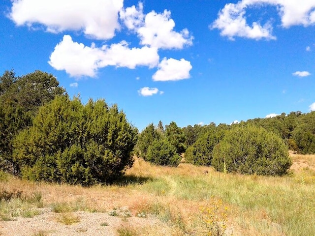 Listing photo 3 for 152 Jesse James Rd, Edgewood NM 87015