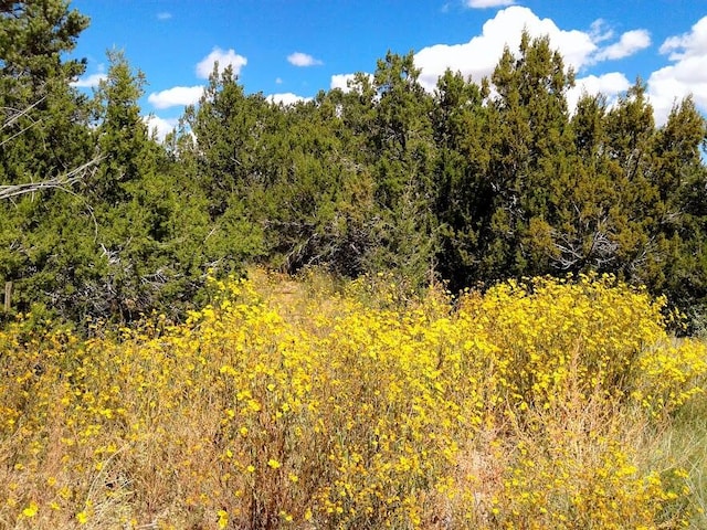 156 Jesse James Rd, Edgewood NM, 87015 land for sale