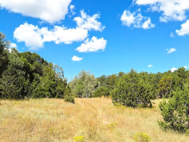 Listing photo 2 for 156 Jesse James Rd, Edgewood NM 87015