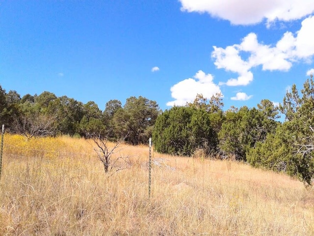 Listing photo 3 for 156 Jesse James Rd, Edgewood NM 87015