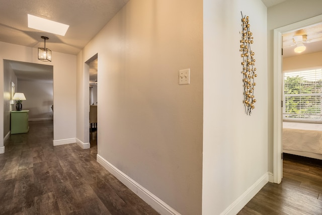 hall featuring a skylight and dark hardwood / wood-style flooring